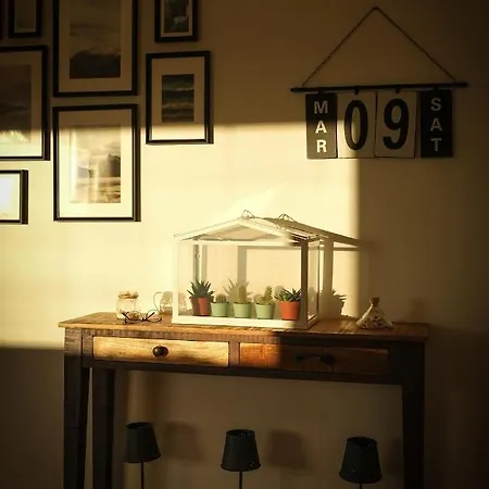 La Pecora Nera Будони