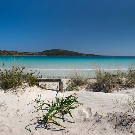 La Pecora Nera Будони