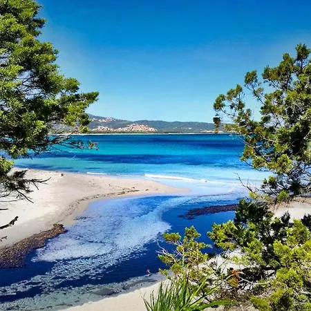 La Pecora Nera לינה וארוחת בוקר