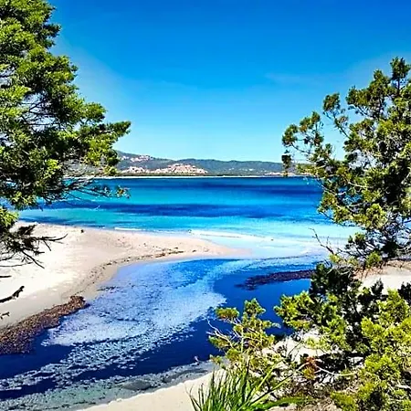 Oda ve Kahvaltı La Pecora Nera 3*
