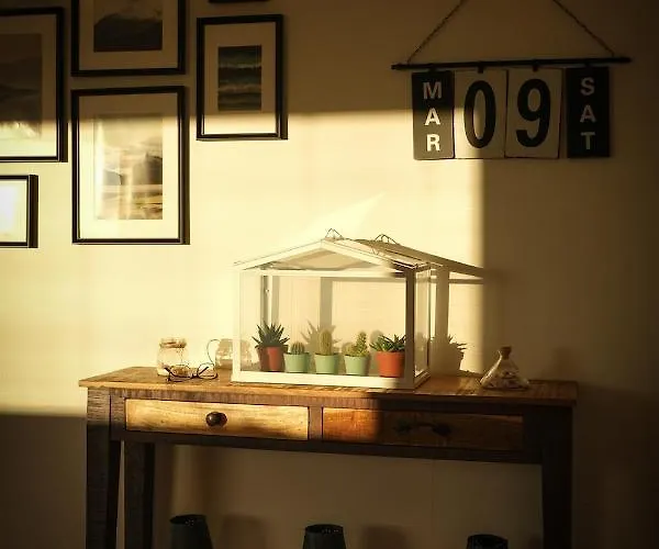 La Pecora Nera 布多尼