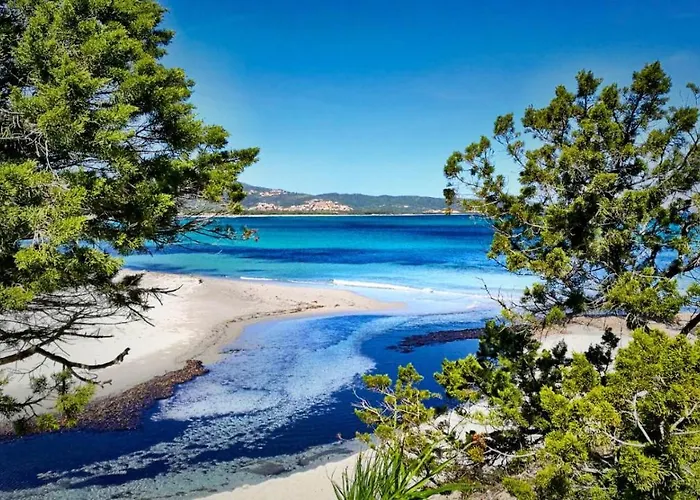 La Pecora Nera 住宿加早餐酒店