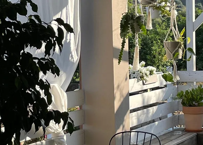 La Pecora Nera 住宿加早餐酒店 布多尼